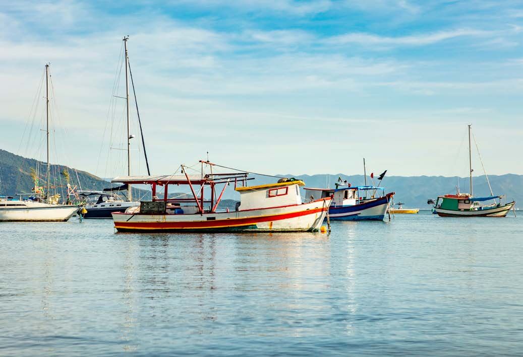 Veleiros ancorados na marina de Porto Belo